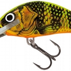 GOLD FLUO PERCH