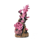 pink reef