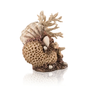biOrb Coral Shells ornament natural