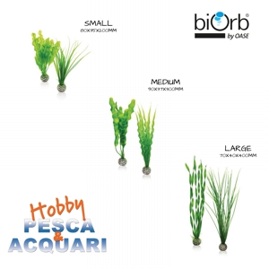biOrb Easy Plant Set
