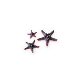 biOrb Kit 3 stelle marine Pink