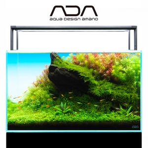AdA Aqua Design Amano