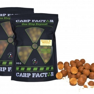 CARP FACTOR ALL SEASON BOILIES