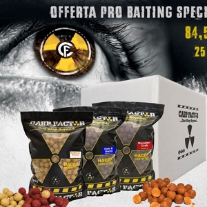 CARP FACTOR OFFERTA 25KG BOILIES
