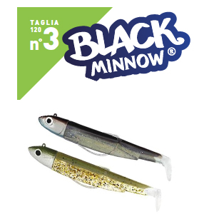 FIIISH - BLACK MINNOW N.3