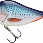 BLEEDING BLUE SHAD