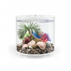 plate coral set