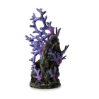 purple reef