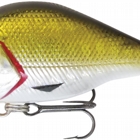 rapture Pro BB CRANK 05