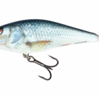 REAL DACE