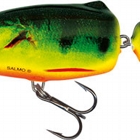 REAL HOT PERCH