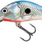 SILVER BLUE SHAD