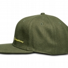 APEarel Dropback Snapback Cap