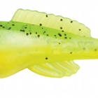 LEMON TIGER