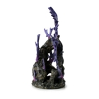 purple reef