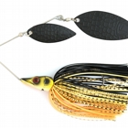 BLACK & GOLD