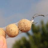 KORDA FUNNEL WEB BOILIES SYSTEM