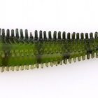 STICKLEBACK