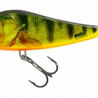 HOT PERCH