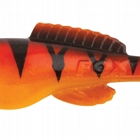 HOT TIGER