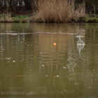 FOX MATRIX PELLET WAGGLER