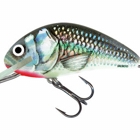 HOLOGRAPHIC GREY SHINER