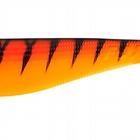 HOT TIGER