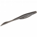 ghost shad