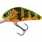 GOLD FLUO PERCH