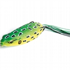 Leopard Frog