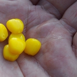 MARUKYU CREDENCE CORN