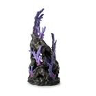 purple reef