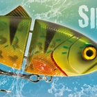Rapture Pro SILENT SHAD