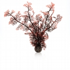 sea fan crimson M