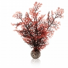 Sea fan crimson S