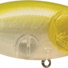 SPEES CRANK CHS