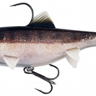 SUPER NATURAL ZANDER