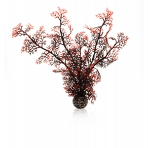 biOrb Sea fan crimson