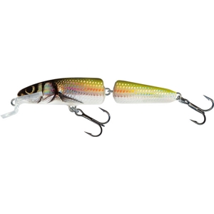 SALMO FANATIC FLOATING 7CM