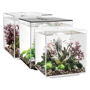 biOrb Acquario Cube