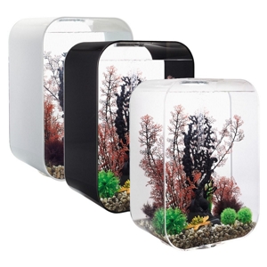 Oase Acquario biOrb FLOW 30 MCR, Nero, 30 l Acquari - comprare da Do it +  Garden Migros