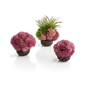 biOrb coral ball set purple