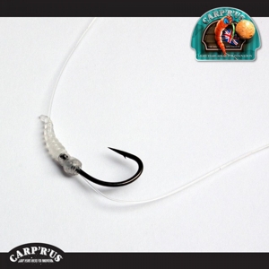 CARP