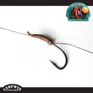 CARP