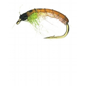 CZECH NYMPH - ORANGE BACK