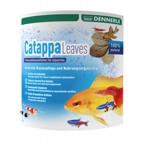 DENNERLE Catappa Leaves