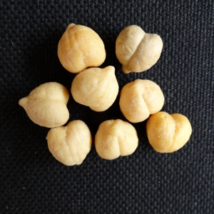 ENTERPRISE TACKLE IMITATION CHICK PEA (CECI)