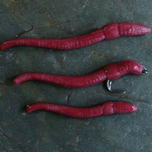 ENTERPRISE TACKLE POP UP RED WORMS (VERME)