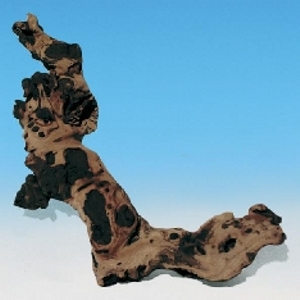 JBL - Radici di Mopani