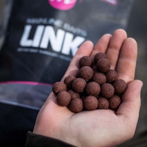 MAINLINE SHELF LIFE BOILIES LINK